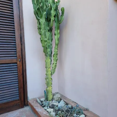 Apartment Sea & Garden Porto Azzurro